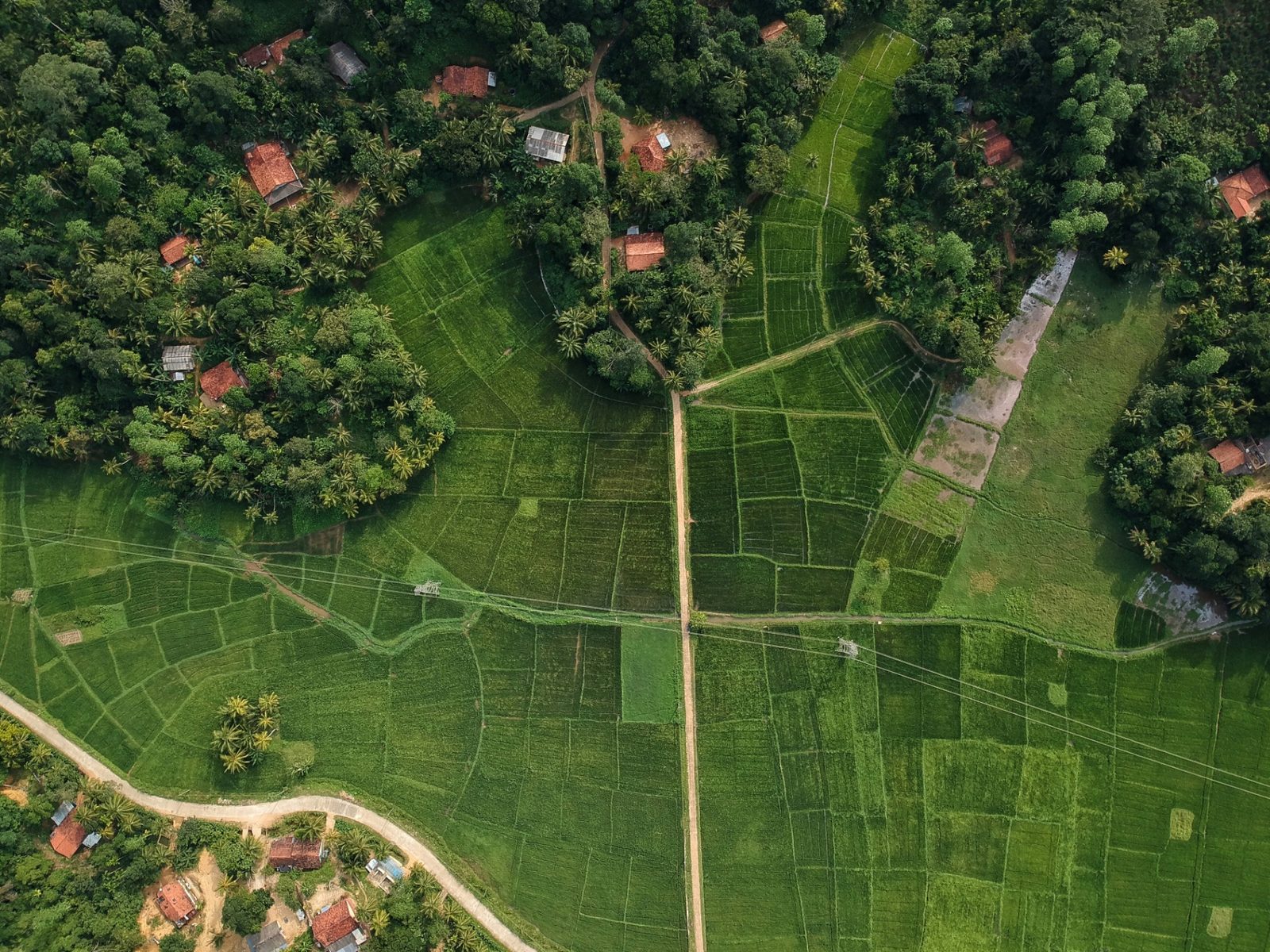 Aerial view of lush green farmland and rural settlements